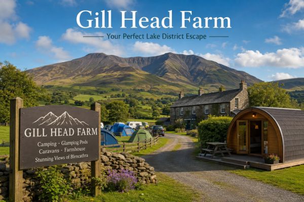 Gill Head Farm